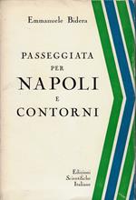 Passeggiata per Napoli e contorni : ristampa identica all'originale con 16 tavole da C. J. Lindstrom