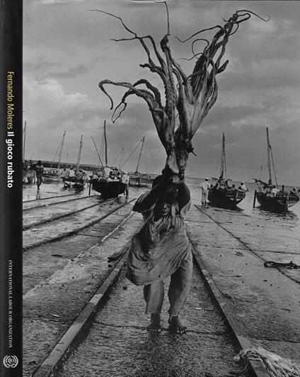 Il gioco rubato - copertina