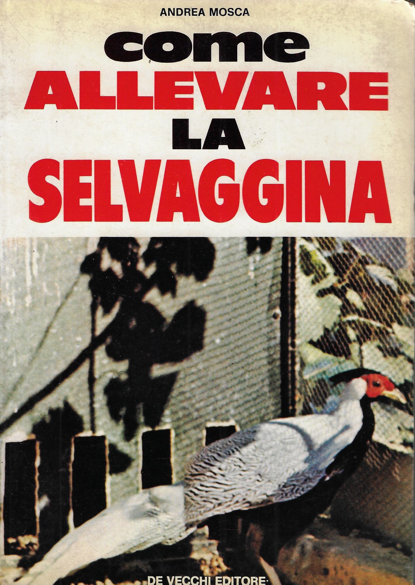 Libreria La Chiave