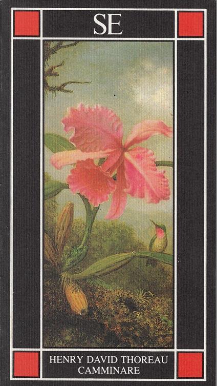 Camminare - copertina