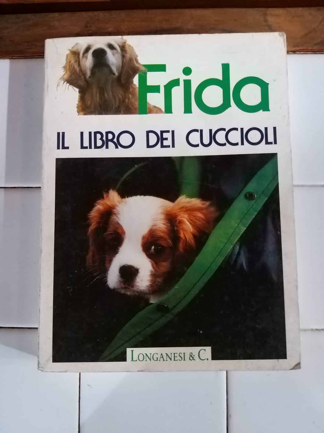 Librisaggi
