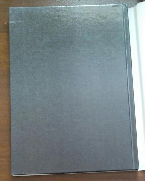 Superfici Epiteliali Del Tratto Distale Dell'Apparato Genitale Femminile - Giuseppe De Virgiliis - 2