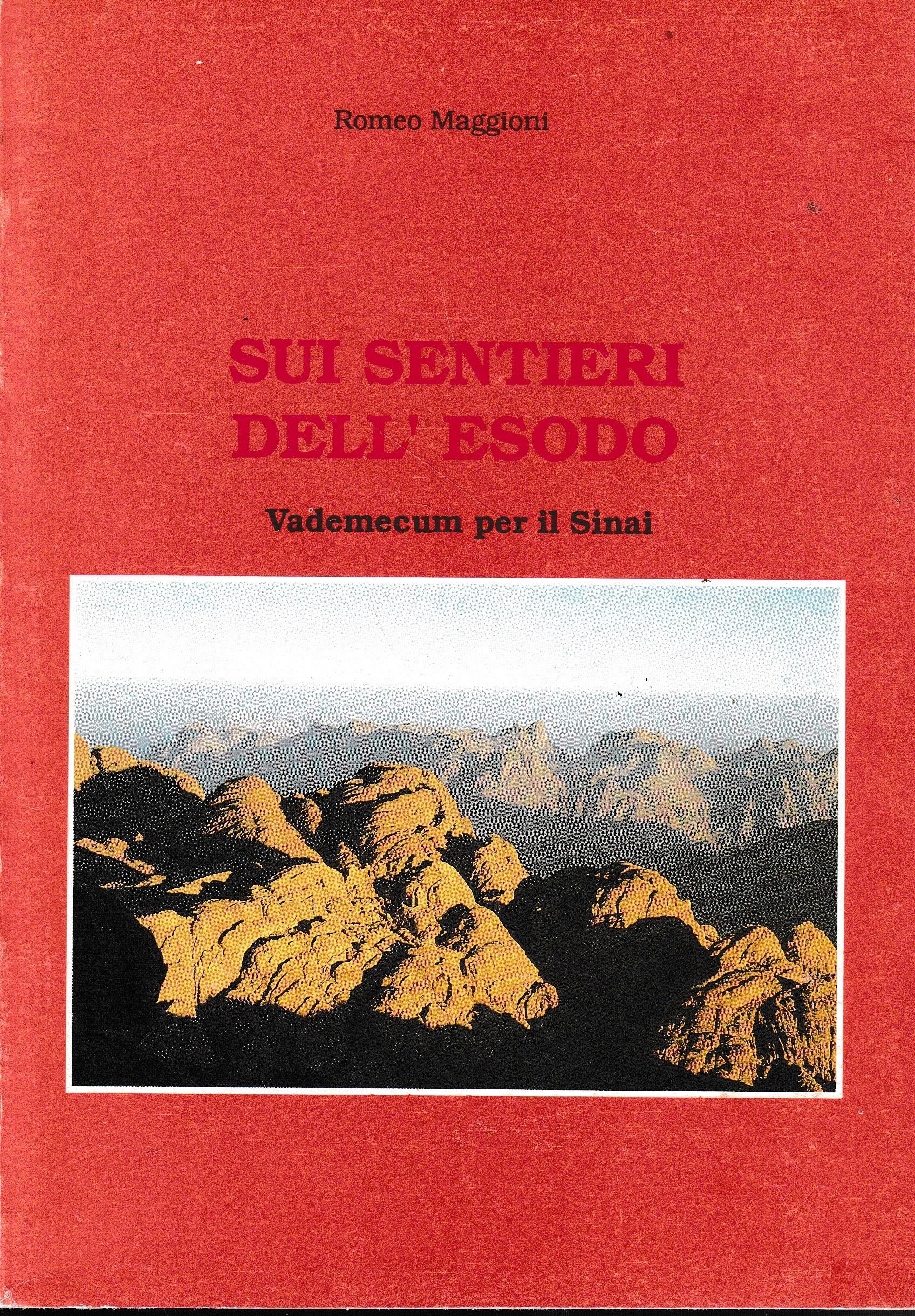 Librisaggi
