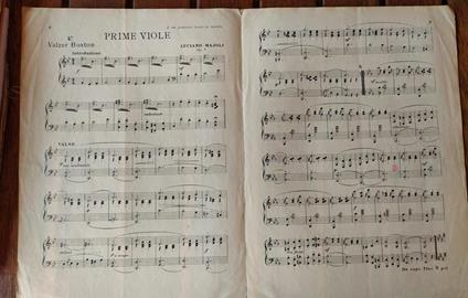 Prime viole - copertina