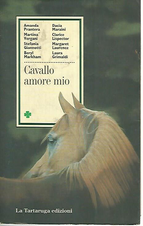 Cavallo amore mio - copertina