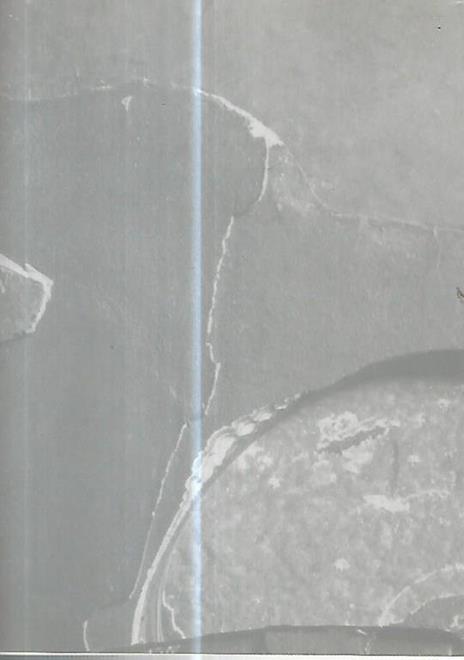 La solitudine del colore - Mario Palma - 2