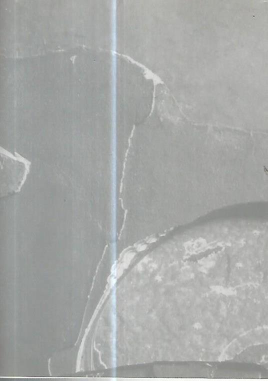 La solitudine del colore - Mario Palma - 2