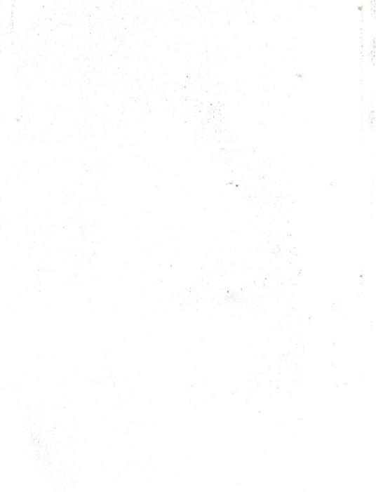 La disciplina del gioco in Italia: profili penalistici - 2