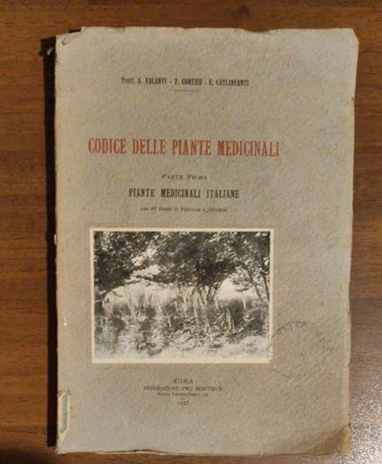 Codice Delle Piante Medicinali - copertina