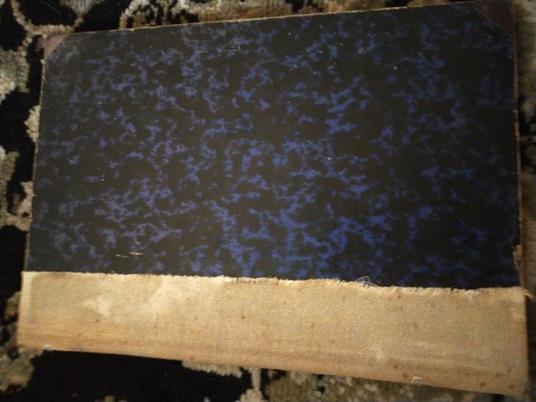 Camiciola - Ernesto Dantone - copertina