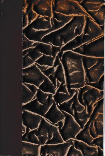 Pensandoci su. Nel mondo de "I Promessi Sposi" - Leone Gessi - copertina