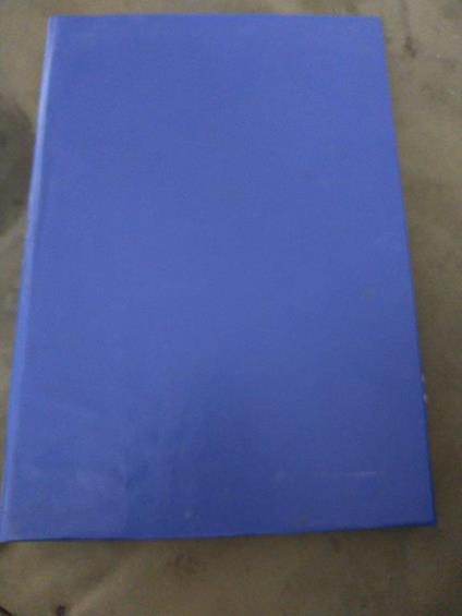 I moderni farisei - Luigi Capranica - copertina