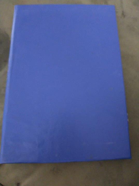 I moderni farisei - Luigi Capranica - copertina