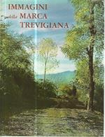 Immagini della marca trevigiana