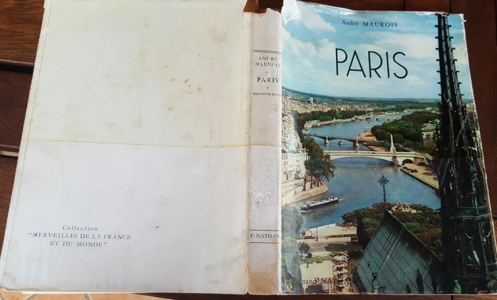 Libreria del Professore