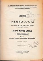 Anatomia umana normale, Vol. 3°. Neurologia