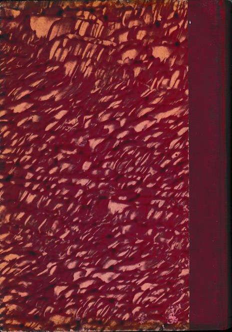 Anatomia umana normale, Vol. 3°. Neurologia - Vincenzo Virno - 2