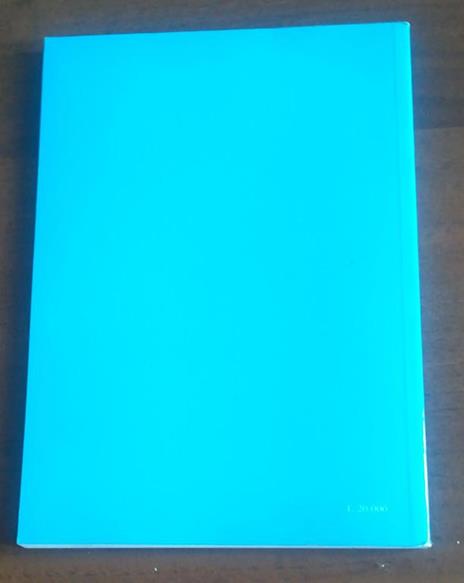 UN Prodigio Un Dipinto E Una Cappella Nella Pieve-Collegiata Di San Ginesio - 2