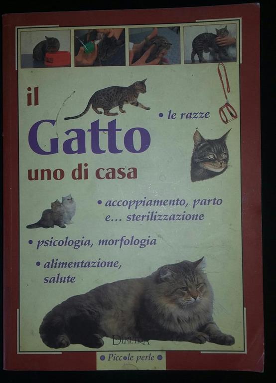 Librisaggi