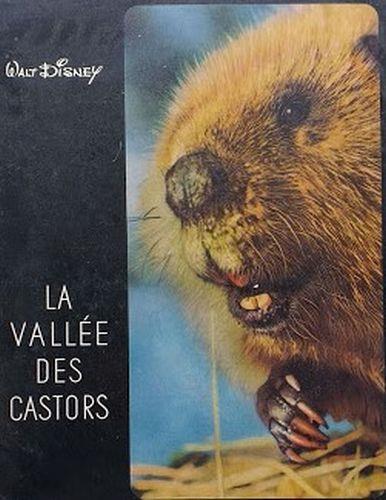 La vallée des castors - Georges Blond - copertina