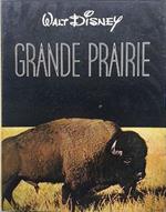 Grande Prairie