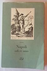 Napoli odi et amo, note di taccuino
