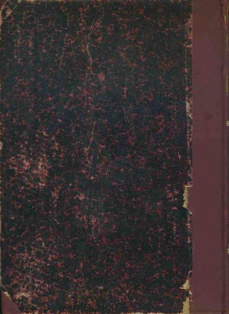 Lo scannatoio. ( L'assommoir) - Émile Zola - 2