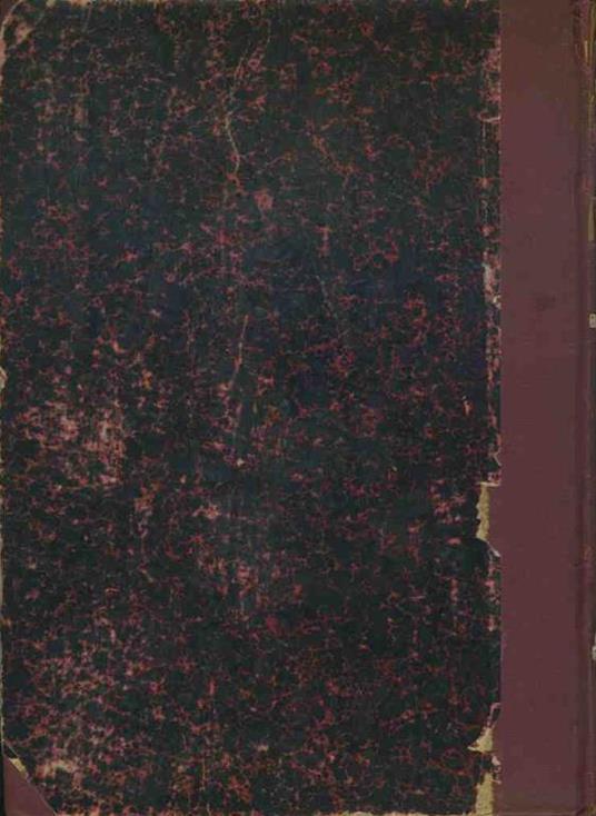 Lo scannatoio. ( L'assommoir) - Émile Zola - 2