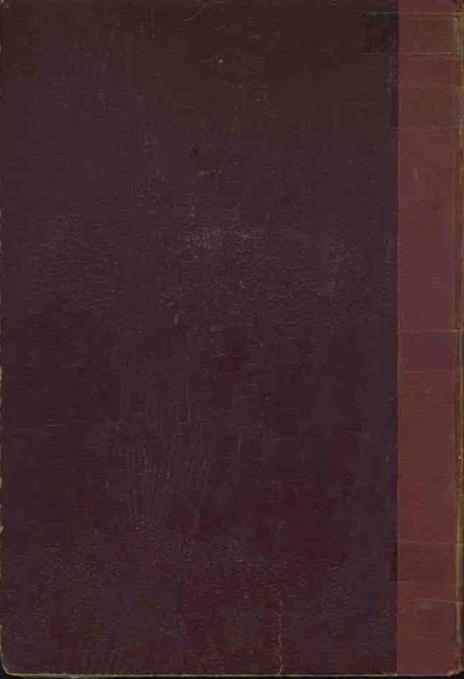 I filibustieri del Gran Golfo o Alessandro Braccio di ferro - Emilio Fancelli - 2