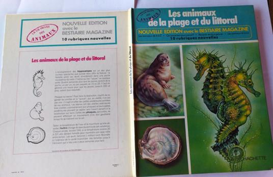 La vie privee des animaux, les animaux de la plage et du littoral - copertina