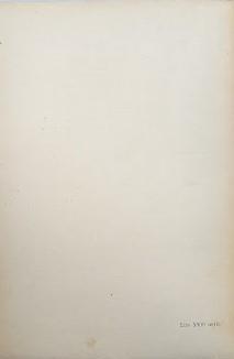 Catalogo del Codice Civile. Libro terzo - della Proprietà: Servitù Prediali (art. 1027-1099) - Giuseppe Branca - 2