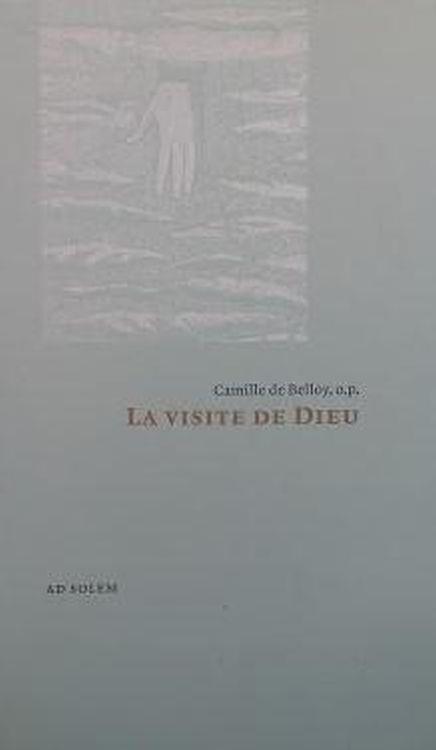 Librisaggi