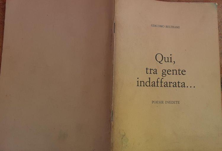 Libreria del Professore