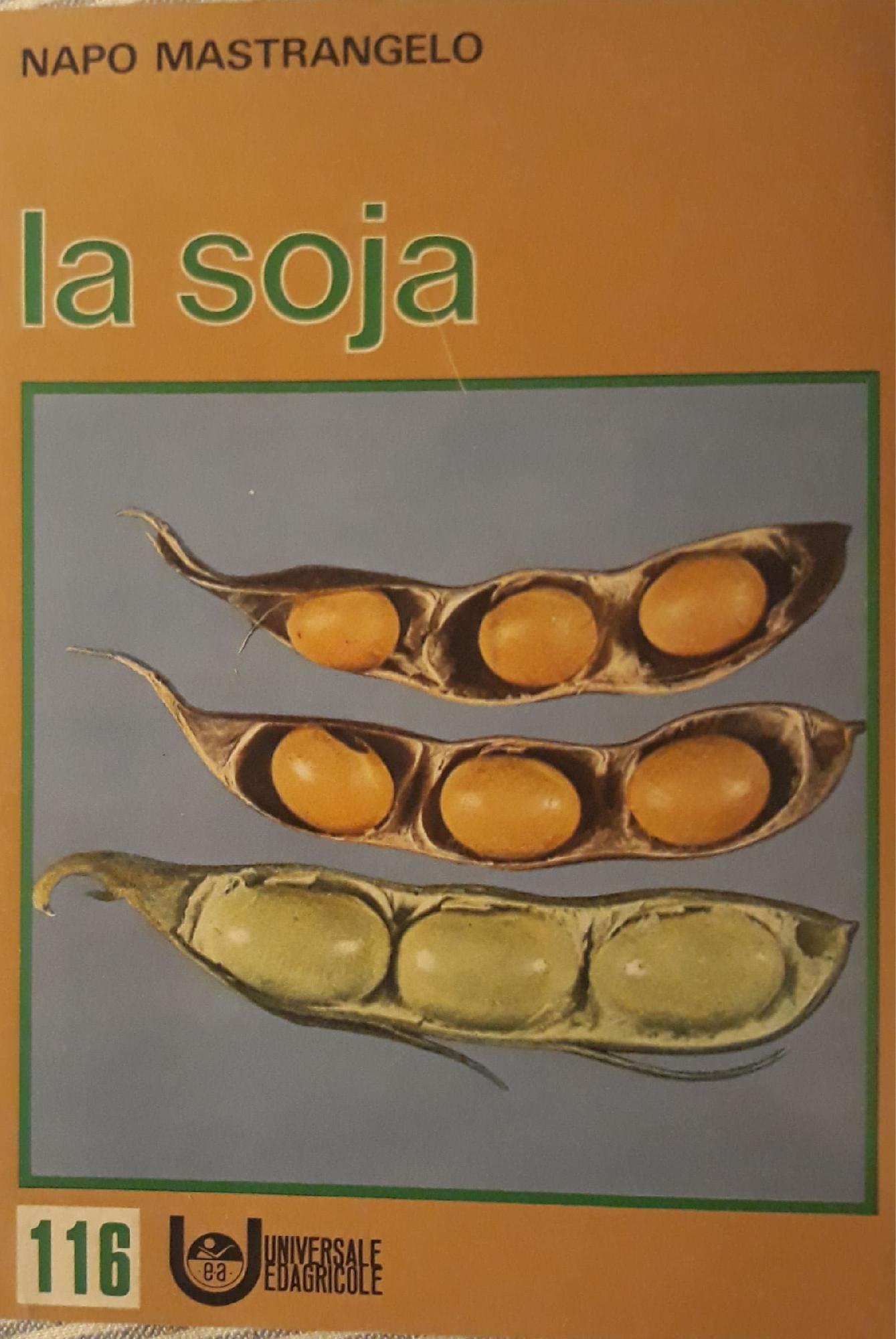 Librisaggi