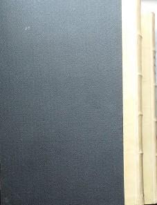 Del Diritto dei Terzi secondo il Codice Civile Italiano. Volumi I e II - Giuseppe Mirabelli - 2