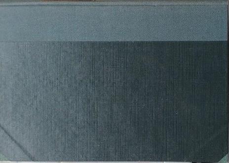 Il diavolo - Lev Tolstoj - 2