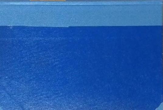 Umiliati e offesi - Fëdor Dostoevskij - 2