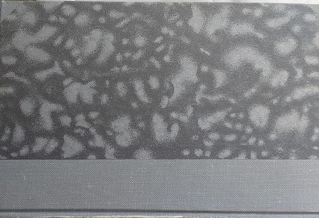 Librisaggi