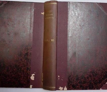 La dottrina delle persone giuridiche o corpi morali Vol. VI - Giorgio Giorgi - copertina