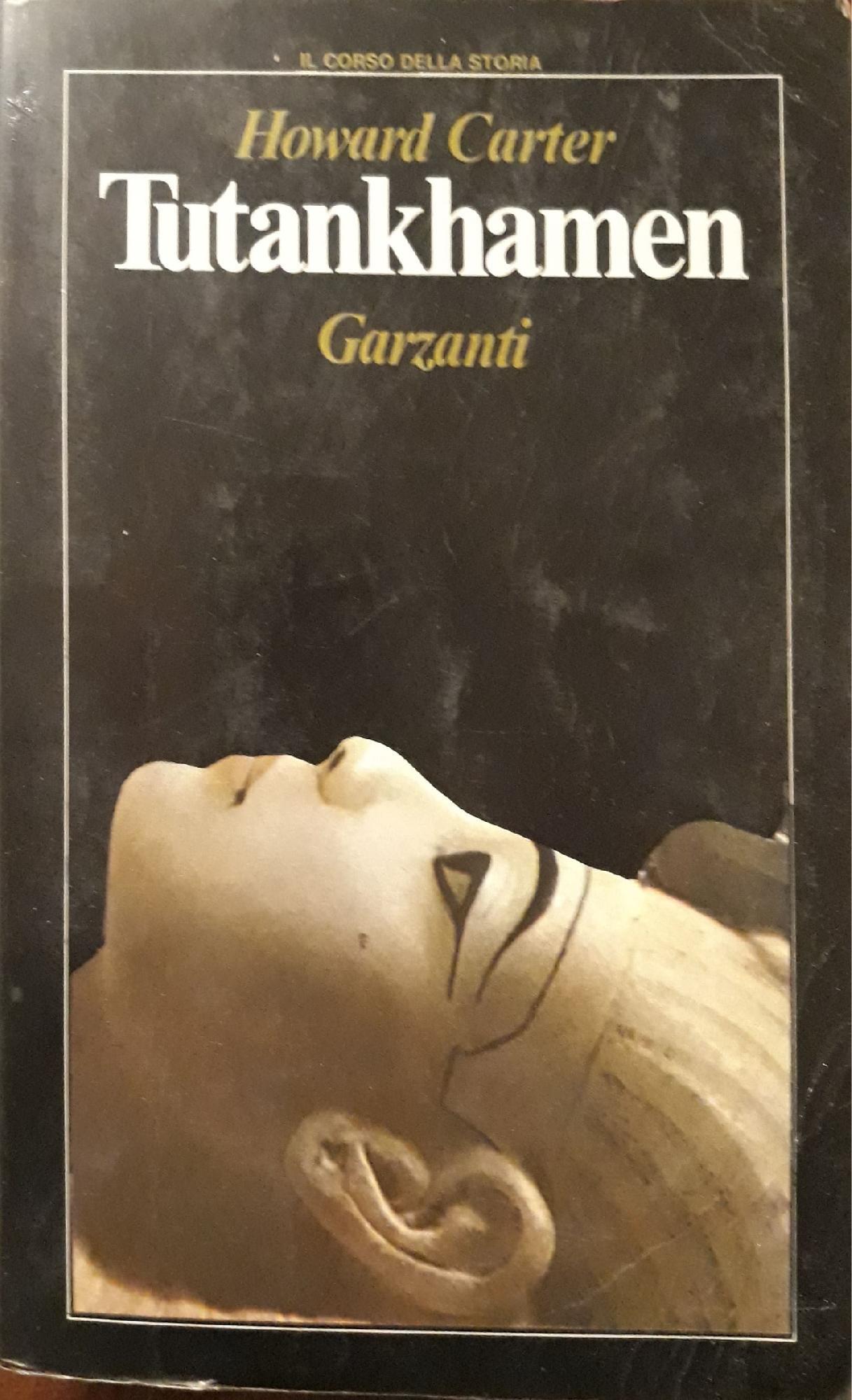 Librisaggi