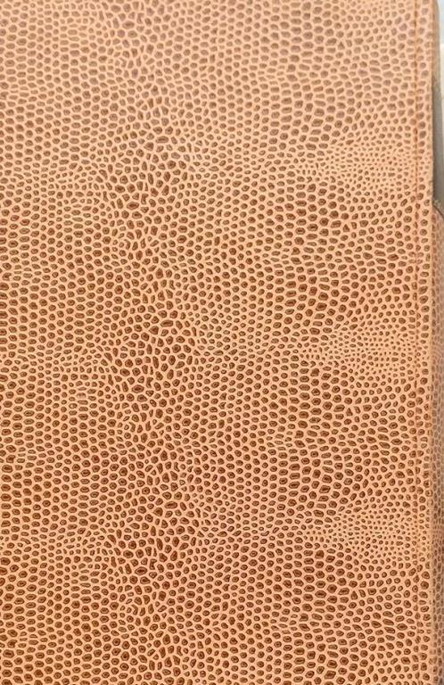 Il libro dei mille savi. Massime, pensieri, aforismi, paradossi, di tutti i tempi e di tutti i paesi - 2