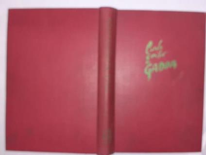 Quer pasticciaccio brutto de via Merulana - Carlo Emilio Gadda - copertina