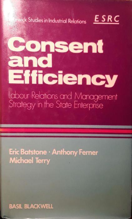 Consent and efficiency : labour relations and management strategy in the state entreprise - copertina
