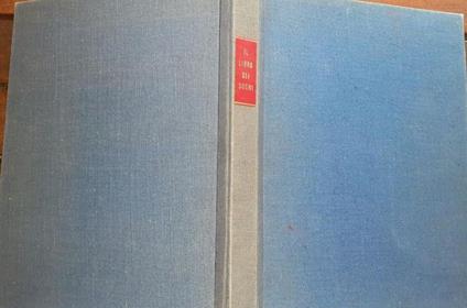 Il libro dei sogni - A. N. Fabian - copertina