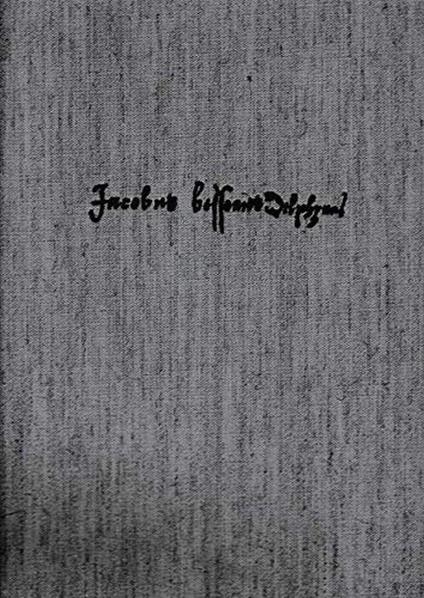 Il Theatrum Instrumentorum et machinarum - Jacques Besson - copertina
