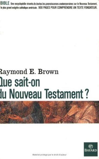 Que sait-on du Nouveau Testament ? - copertina