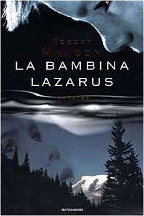 Librisaggi