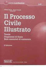 Il processo civile illustrato : tavole, diagrammi di flusso, note essenziali di commento