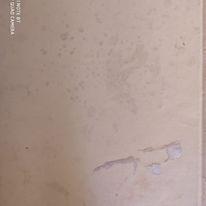 Luigi XIV - Louis Bertrand - 2