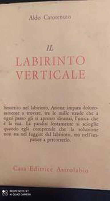 Il labirinto verticale - Aldo Carotenuto - copertina